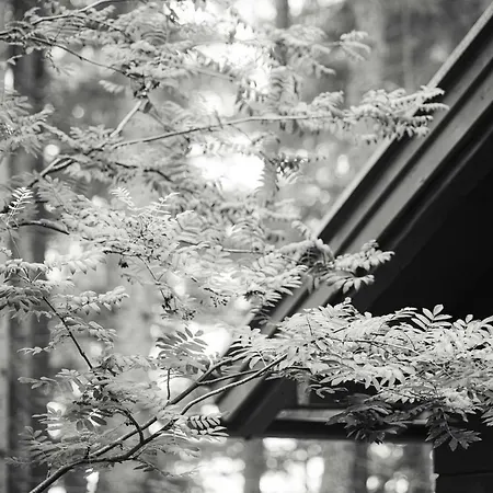 Berghuette - Schwaz - Pillberg 펜션