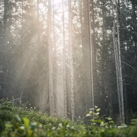 Berghuette - Schwaz - Pillberg * Pill