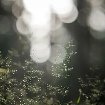 Berghuette - Schwaz - Pillberg 別荘