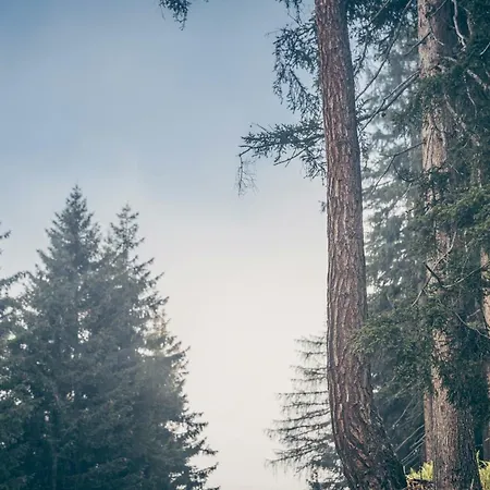 別荘 Berghuette - Schwaz - Pillberg Pill